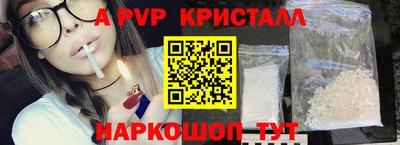 амф Кингисепп