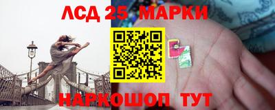 амф Кингисепп