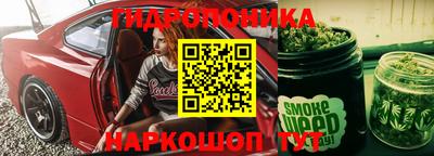 амф Кингисепп