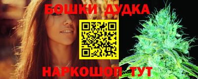 амф Кингисепп