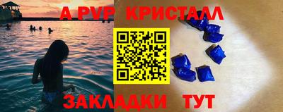 амф Кингисепп