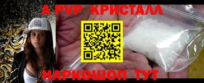 амф Кингисепп