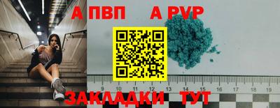 амф Кингисепп