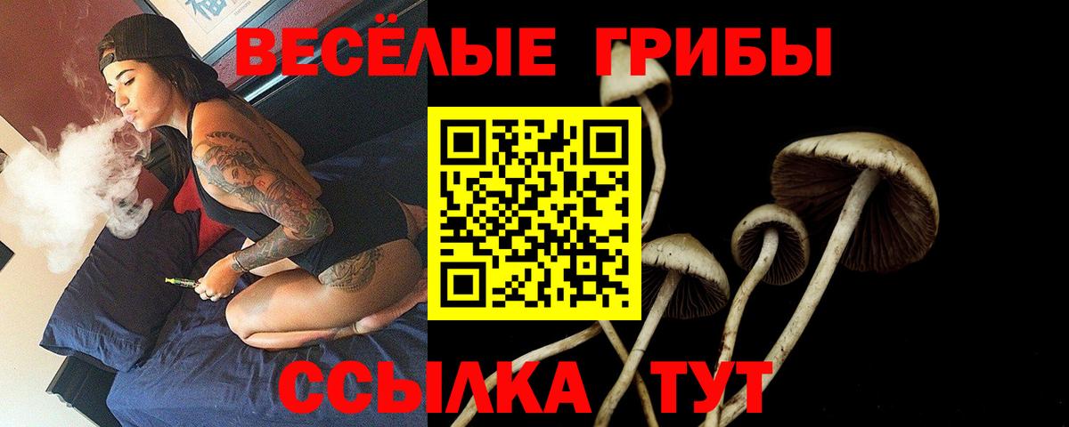 Салават  Псилоцибиновые грибы Magic Shrooms  Вход с VPN 