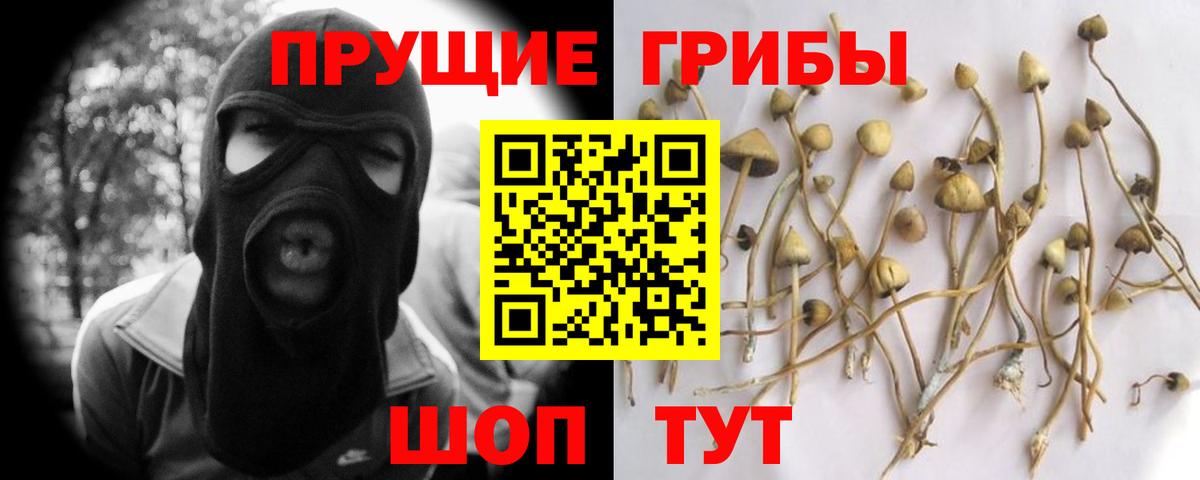 Псилоцибиновые грибы мицелий Салават